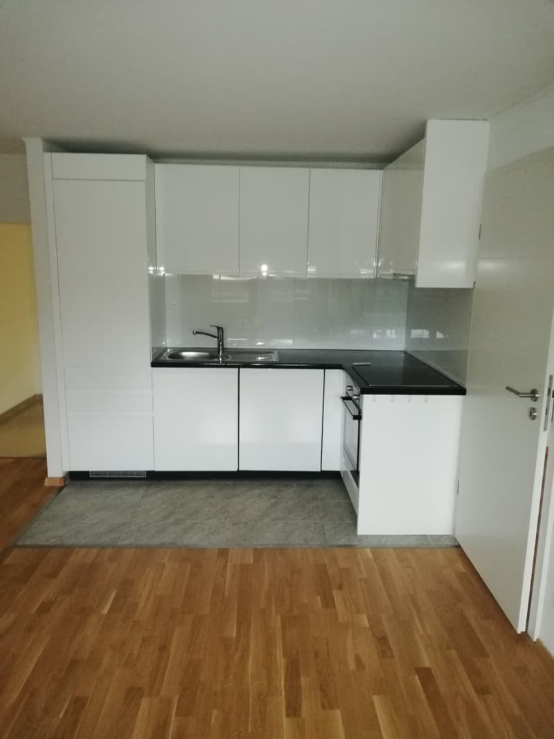 Beautiful 3-room apartment near the Rhine Falls (3)