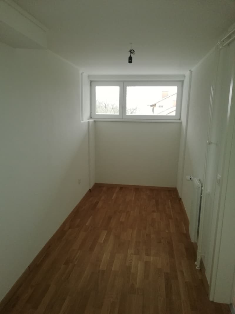 Beautiful 3-room apartment near the Rhine Falls (5)
