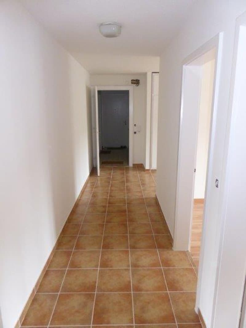 Appartement lumineux 3.5 pièces avec balcon et belle vue à Hägendorf (4)