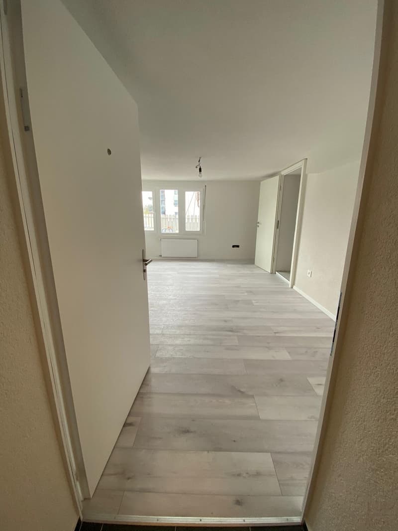 Bel appartement studio à louer à Siebnen (2)