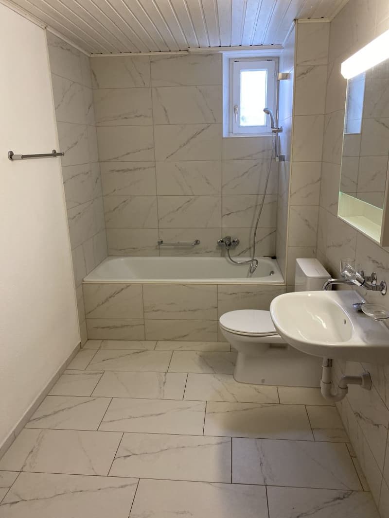 Prächtige 4.5-Zimmer-Wohnung! Miete angeboten! (8)