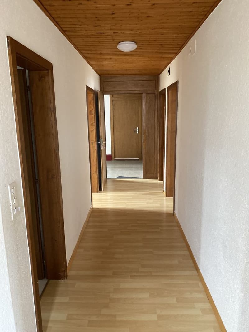 Prächtige 4.5-Zimmer-Wohnung! Miete angeboten! (7)