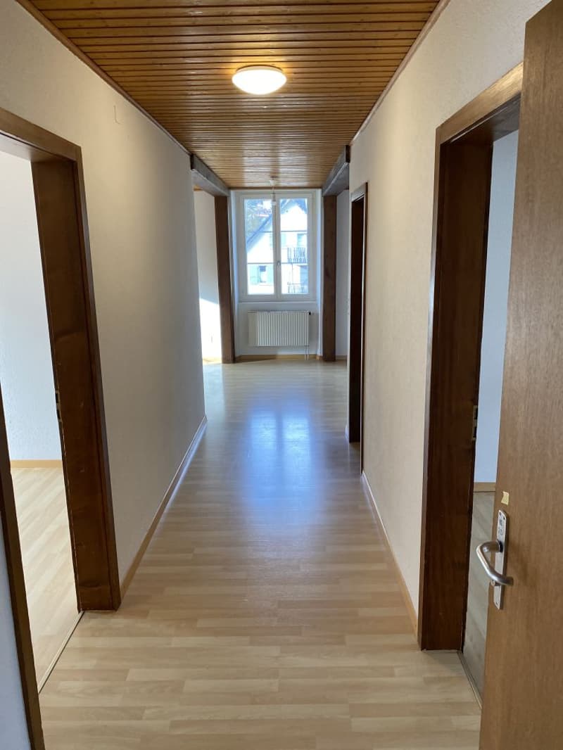 Prächtige 4.5-Zimmer-Wohnung! Miete angeboten! (6)