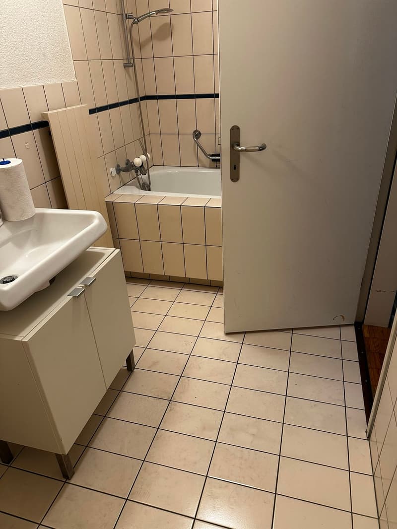 Weiträumige und gemütliche 1.5 Wohnung zu vermieten (6)