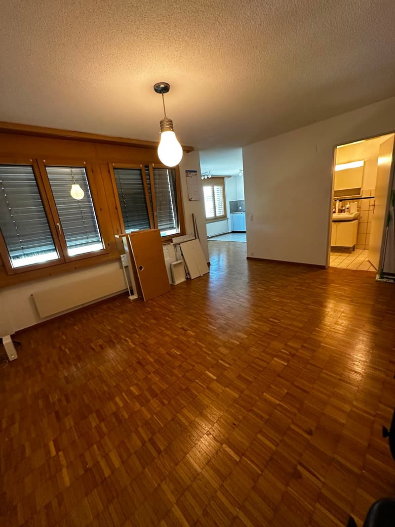 Weiträumige und gemütliche 1.5 Wohnung zu vermieten (3)
