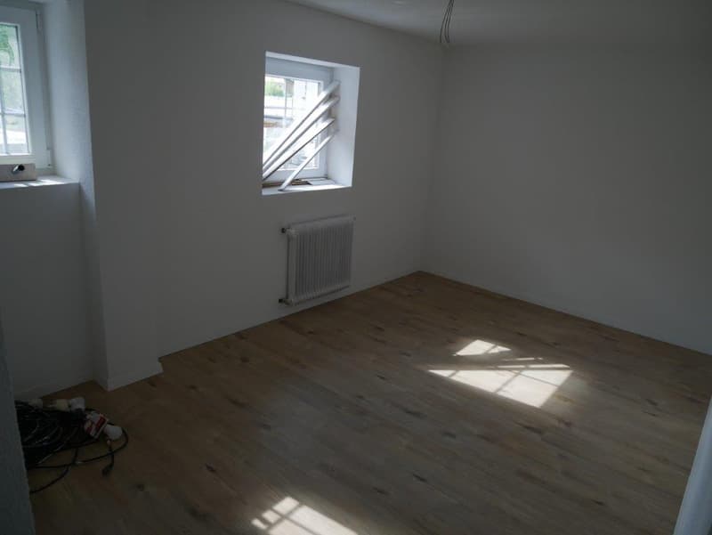 Gemütliche 1-Zimmer-Wohnung in Küblis - erster Monat GRATIS!!* (4)