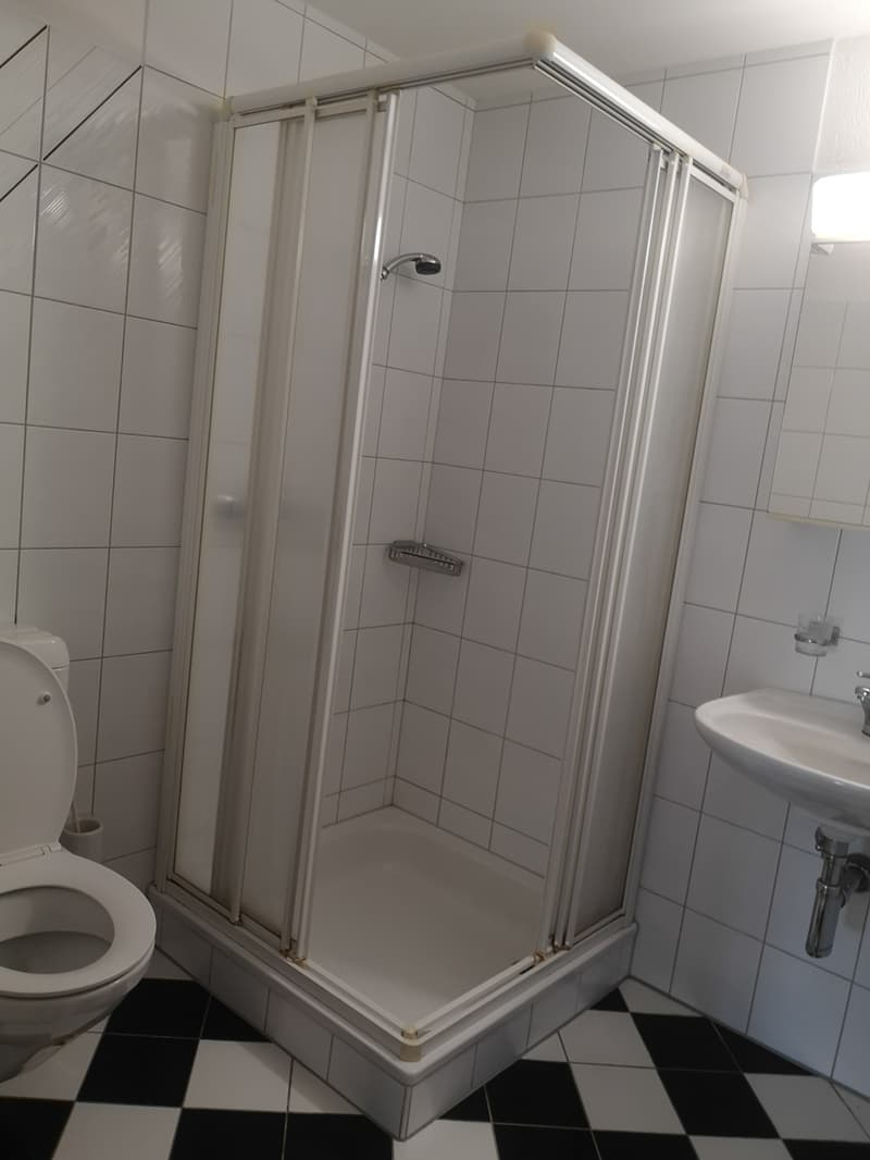 Gross und gemütliche 3.5-Zimmer-Wohnung mit Balkon in Rekingen AG (16)