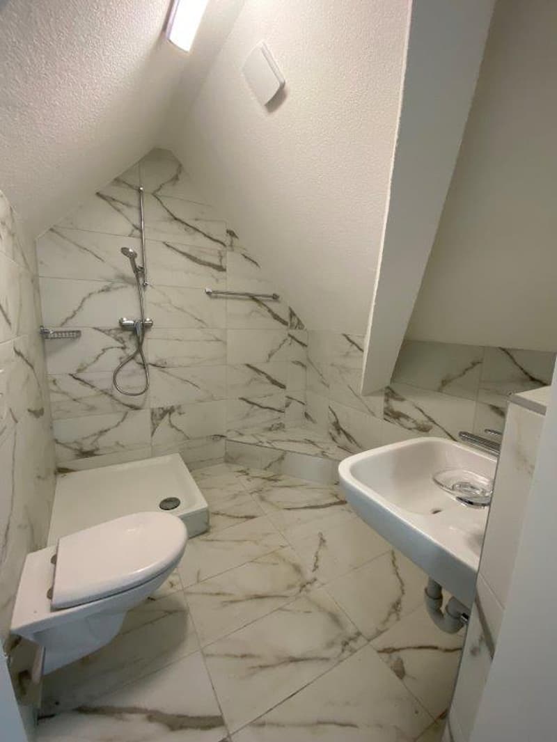 Charmante 1-Zimmer-Dachwohnung mit Estrich zu vermieten (8)