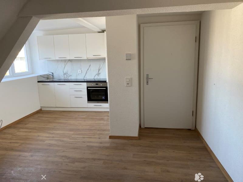 Charmante 1-Zimmer-Dachwohnung mit Estrich zu vermieten (2)