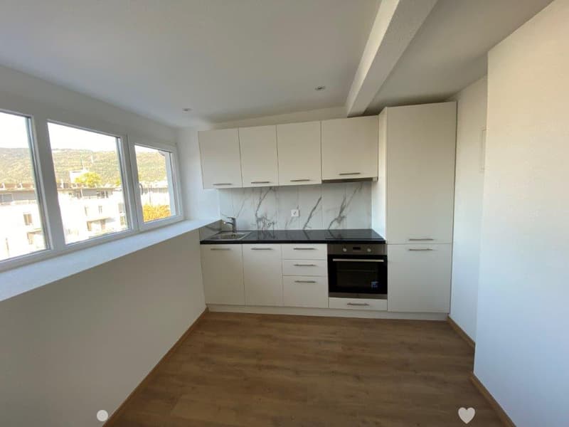 Charmante 1-Zimmer-Dachwohnung mit Estrich zu vermieten (3)