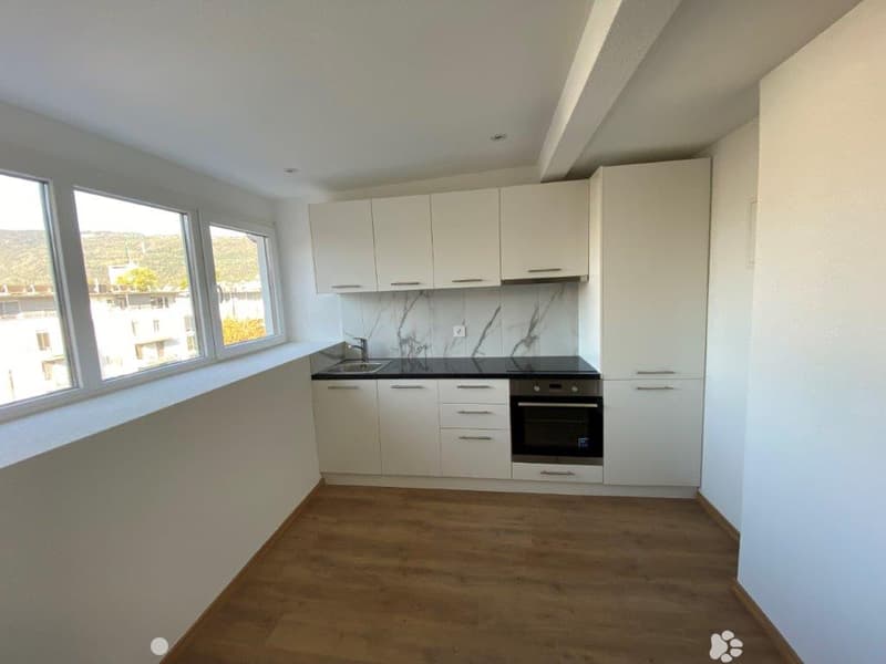 Charmante 1-Zimmer-Dachwohnung mit Estrich zu vermieten (3)