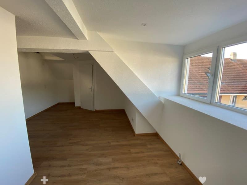 Charmante 1-Zimmer-Dachwohnung mit Estrich zu vermieten (6)