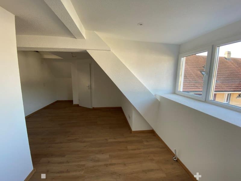 Charmante 1-Zimmer-Dachwohnung mit Estrich zu vermieten (6)