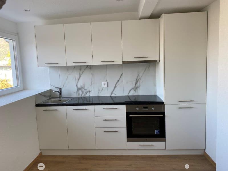 Charmante 1-Zimmer-Dachwohnung mit Estrich zu vermieten (4)