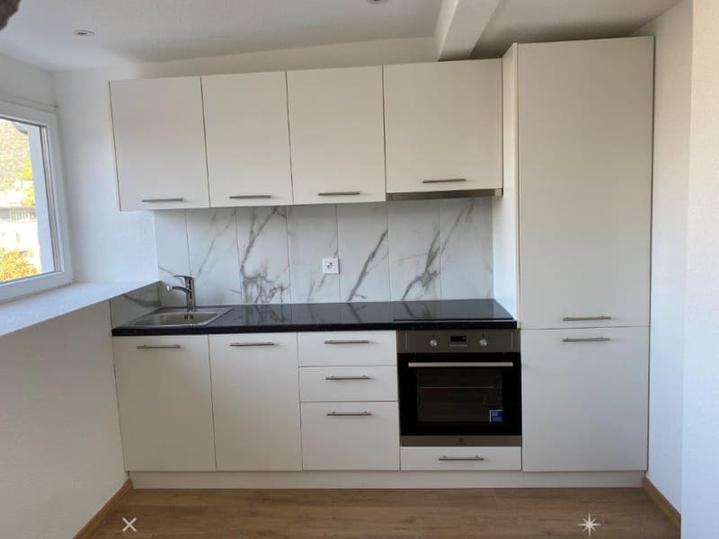 Charmante 1-Zimmer-Dachwohnung mit Estrich zu vermieten (4)