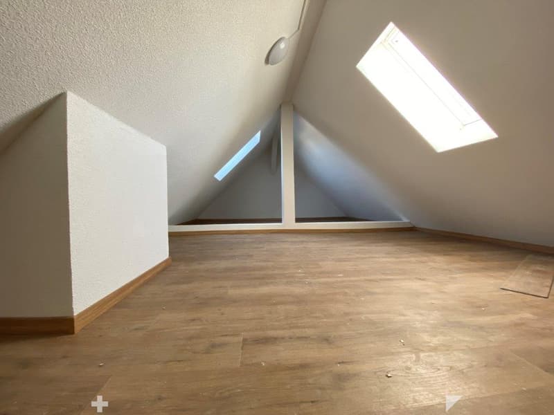 Charmante 1-Zimmer-Dachwohnung mit Estrich zu vermieten (5)