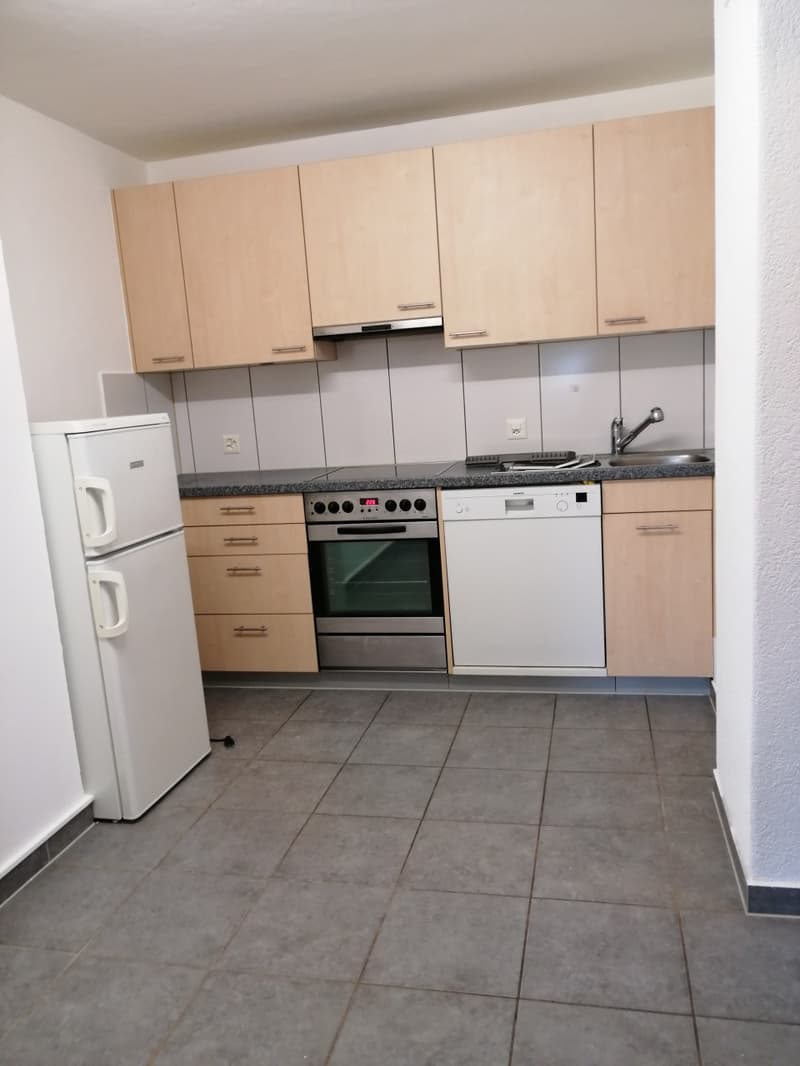 Weiträumige und helle 2.5 Zimmerwohnung zu vermieten (3)