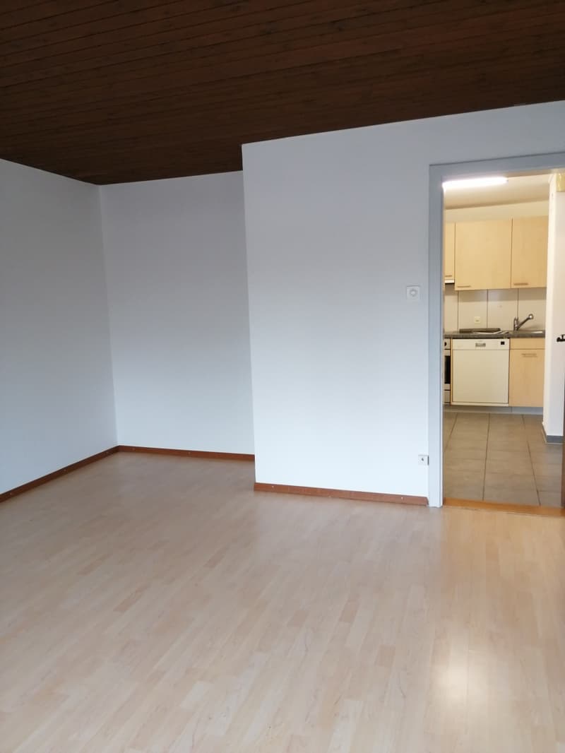 Weiträumige und helle 2.5 Zimmerwohnung zu vermieten (7)