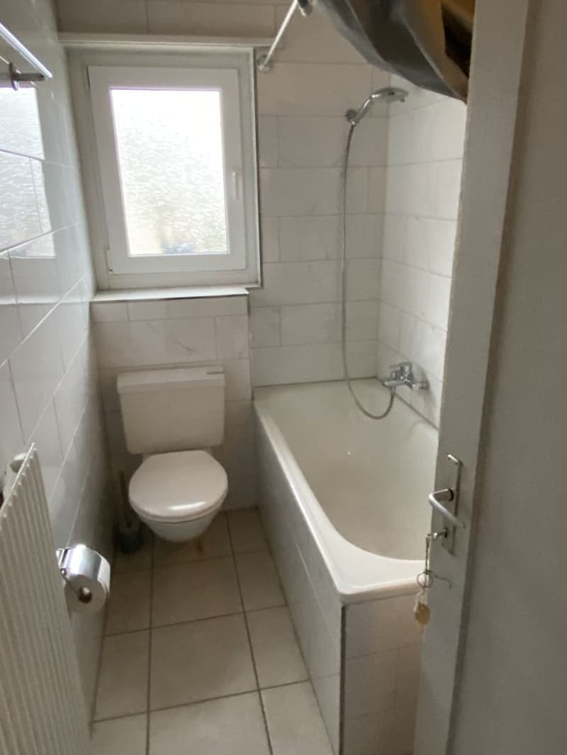 Weiträumige und helle 2.5 Zimmerwohnung zu vermieten (8)
