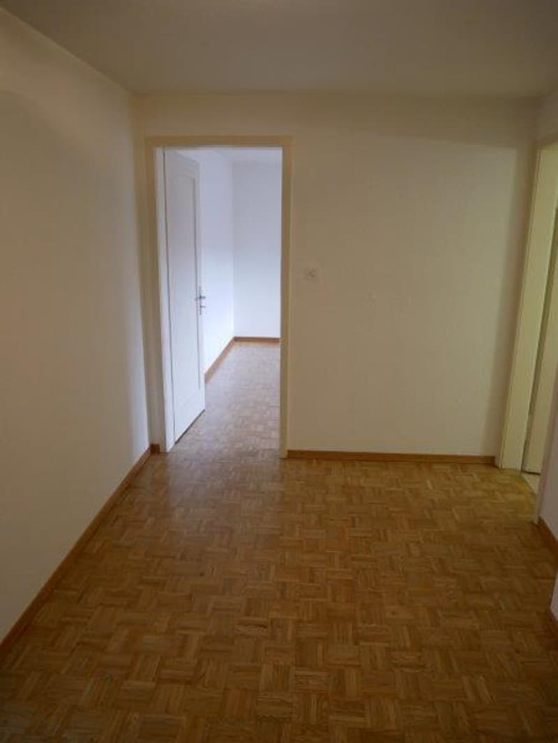 Schöne 3.5-Zimmerwohnung zu vermieten (6)