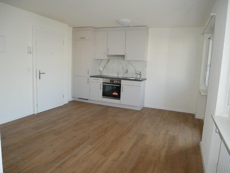 Renovierte 1-Zimmer-Wohnung in Wangen b. Olten mit Balkon (1)