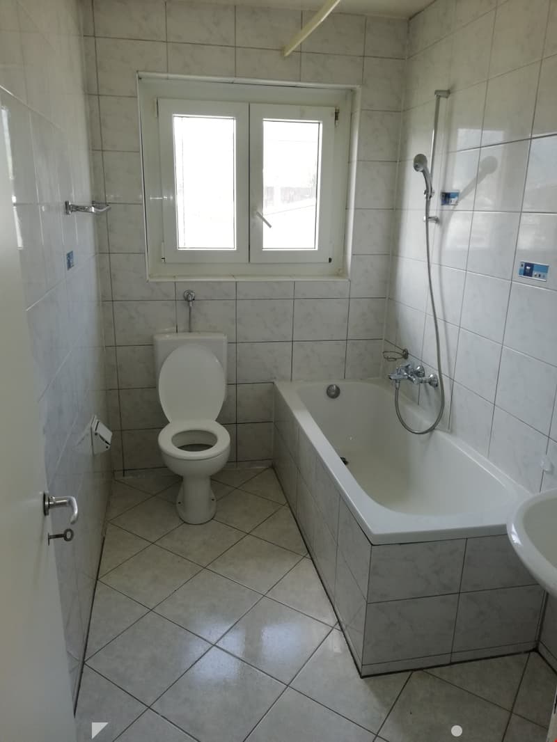 Geräumige renovierte 3.5-Zimmerwohnung mit 2 Balkonen (4)