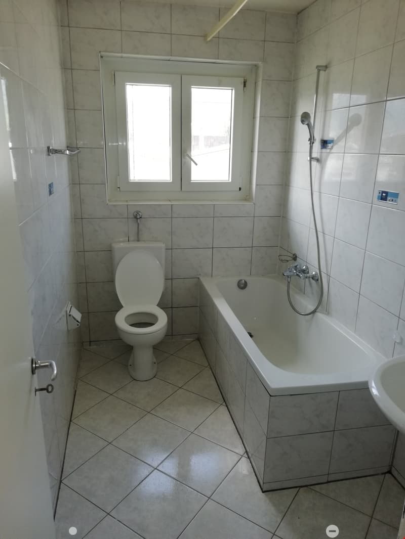 Geräumige renovierte 3.5-Zimmerwohnung mit 2 Balkonen (4)