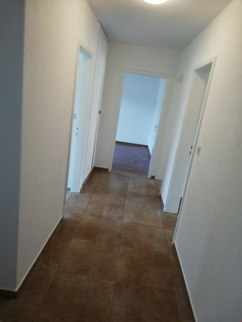 Geräumige renovierte 3.5-Zimmerwohnung mit 2 Balkonen (8)