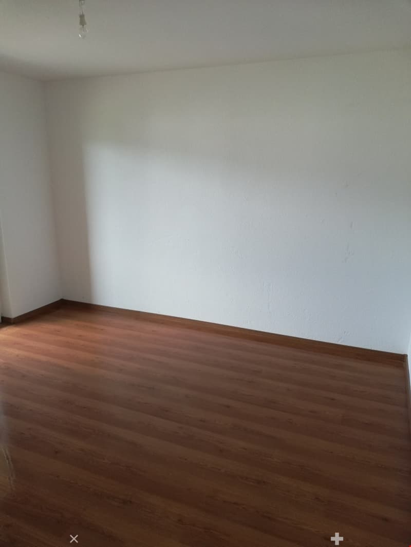Geräumige renovierte 3.5-Zimmerwohnung mit 2 Balkonen (6)
