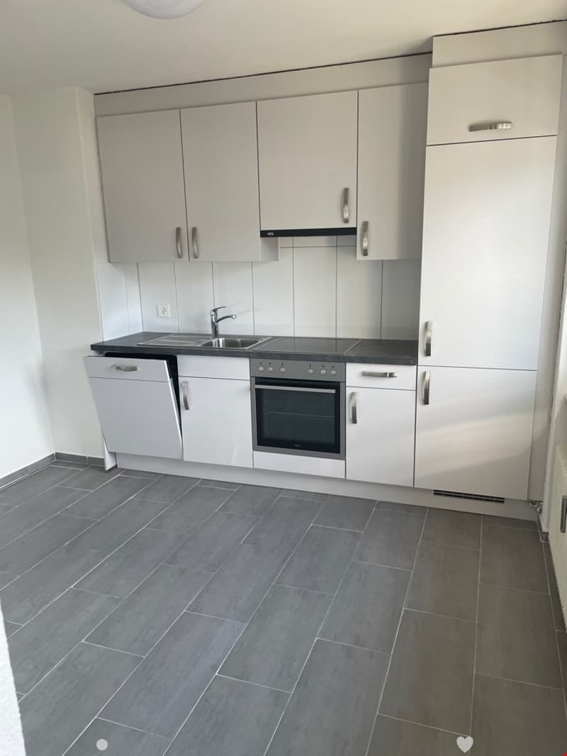Geräumige renovierte 3.5-Zimmerwohnung mit 2 Balkonen (1)