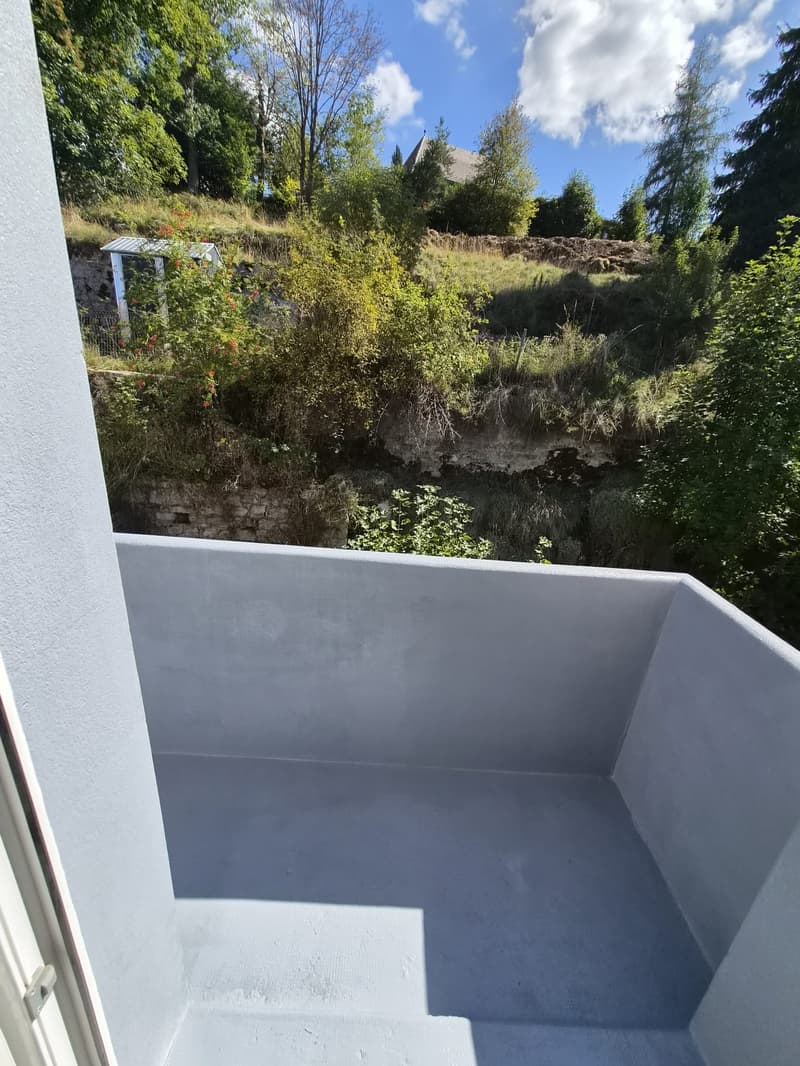 Appartement 4 pièces rénové avec balcon – La Chaux-de-Fonds (14)