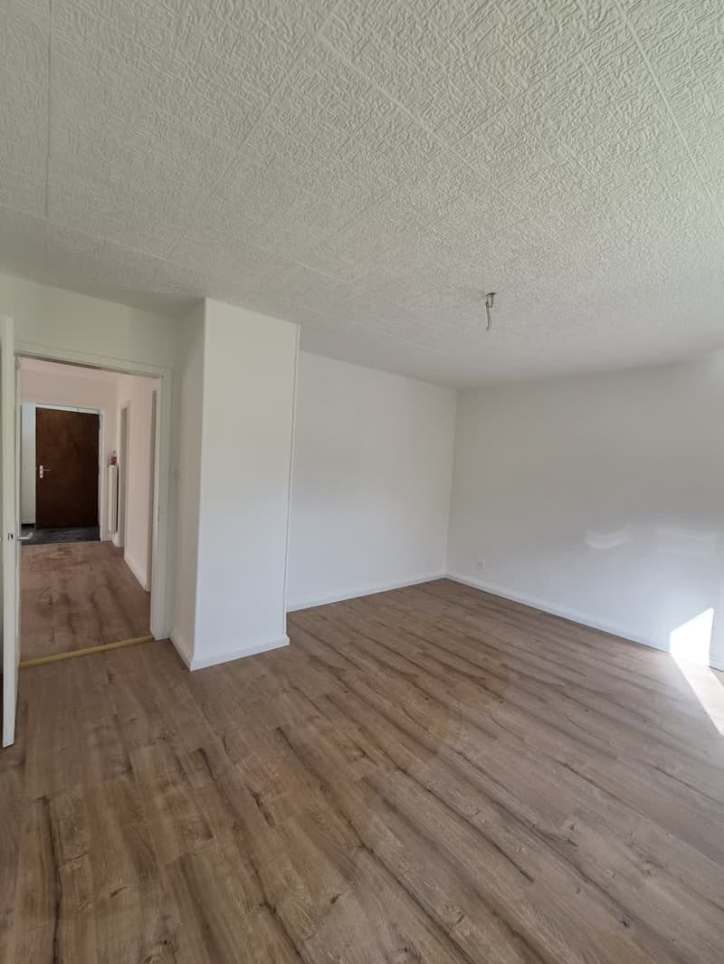 Appartement 4 pièces rénové avec balcon – La Chaux-de-Fonds (8)
