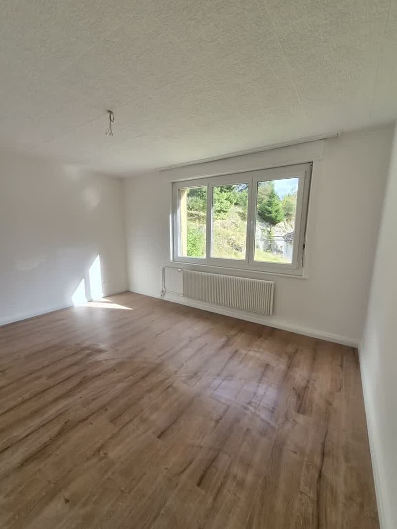 Appartement 4 pièces rénové avec balcon – La Chaux-de-Fonds (4)