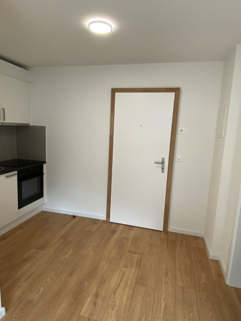 Modernes Studio-Apartment im Neubau – Seewen SZ (2)