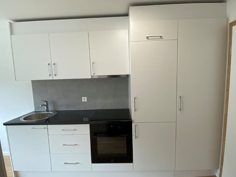 Modernes 1-Zimmer-Apartment im Neubau an der Bahnhofstrasse in Seewen SZ (4)