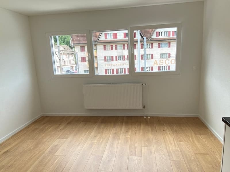Modernes 1-Zimmer-Apartment im Neubau an der Bahnhofstrasse in Seewen SZ (6)