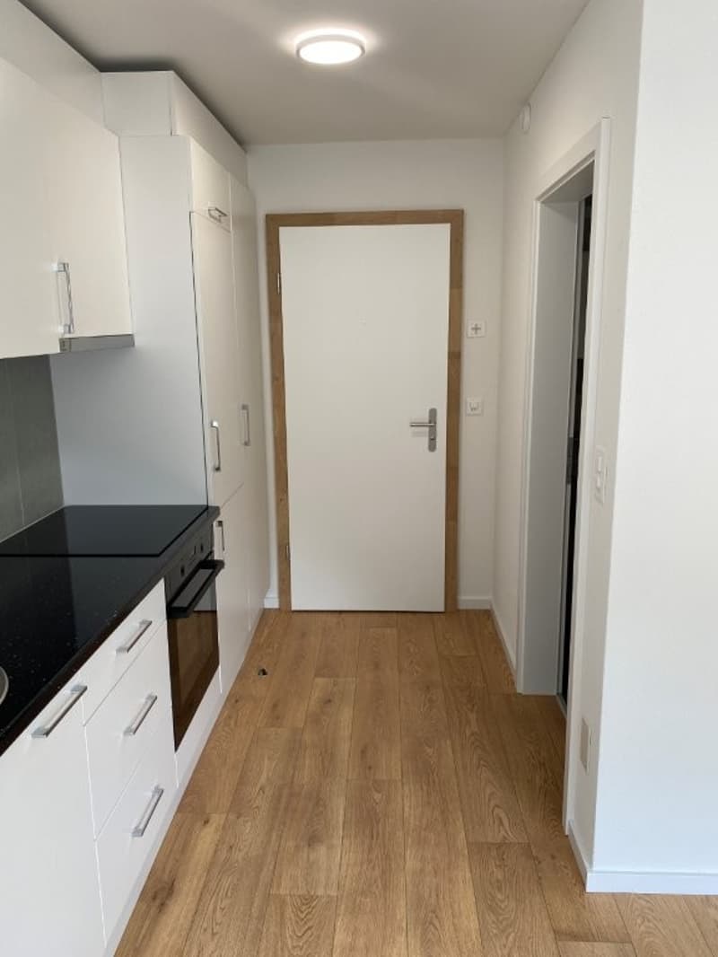 Modernes 1-Zimmer-Apartment im Neubau an der Bahnhofstrasse in Seewen SZ (5)