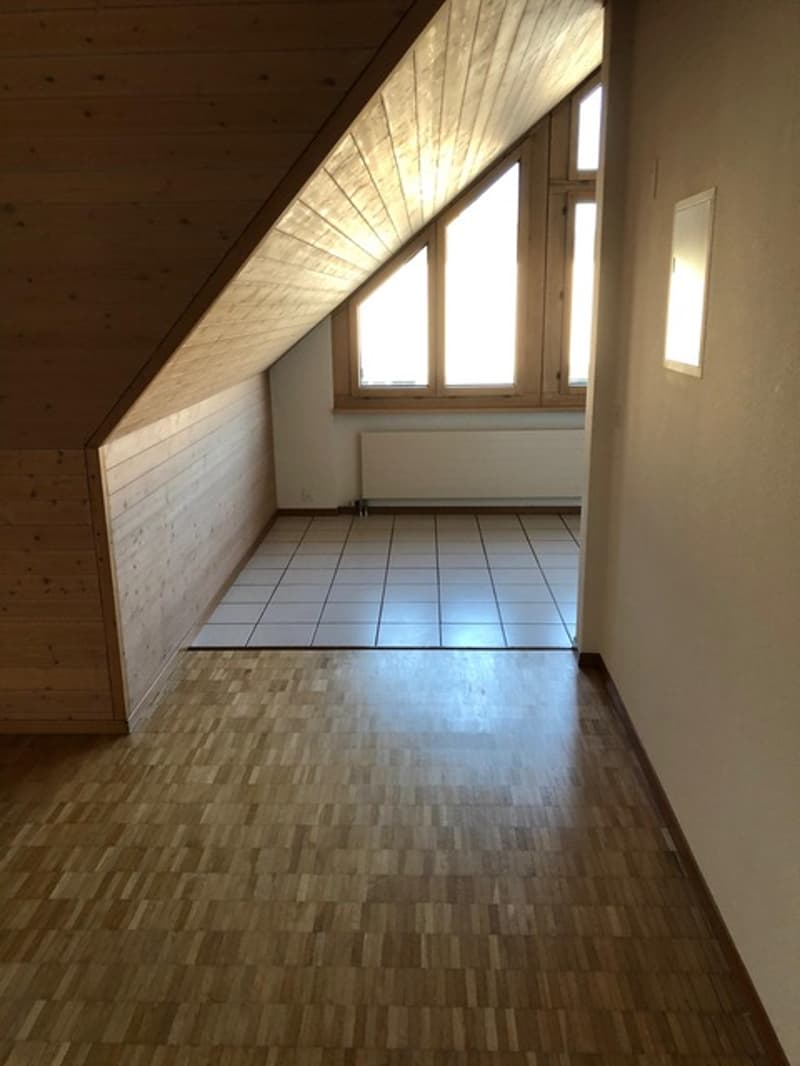 Weiträumige und gemütliche 1.5 Wohnung zu vermieten (10)