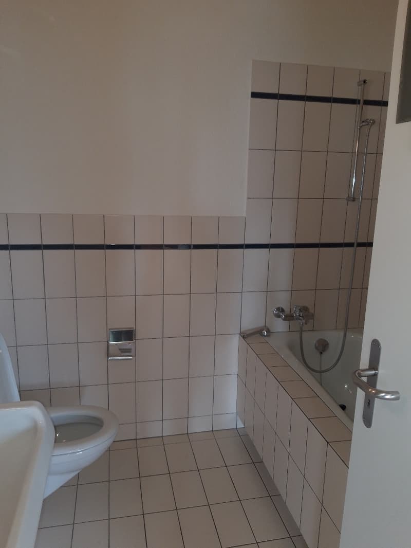 Weiträumige und gemütliche 1.5 Wohnung zu vermieten (4)
