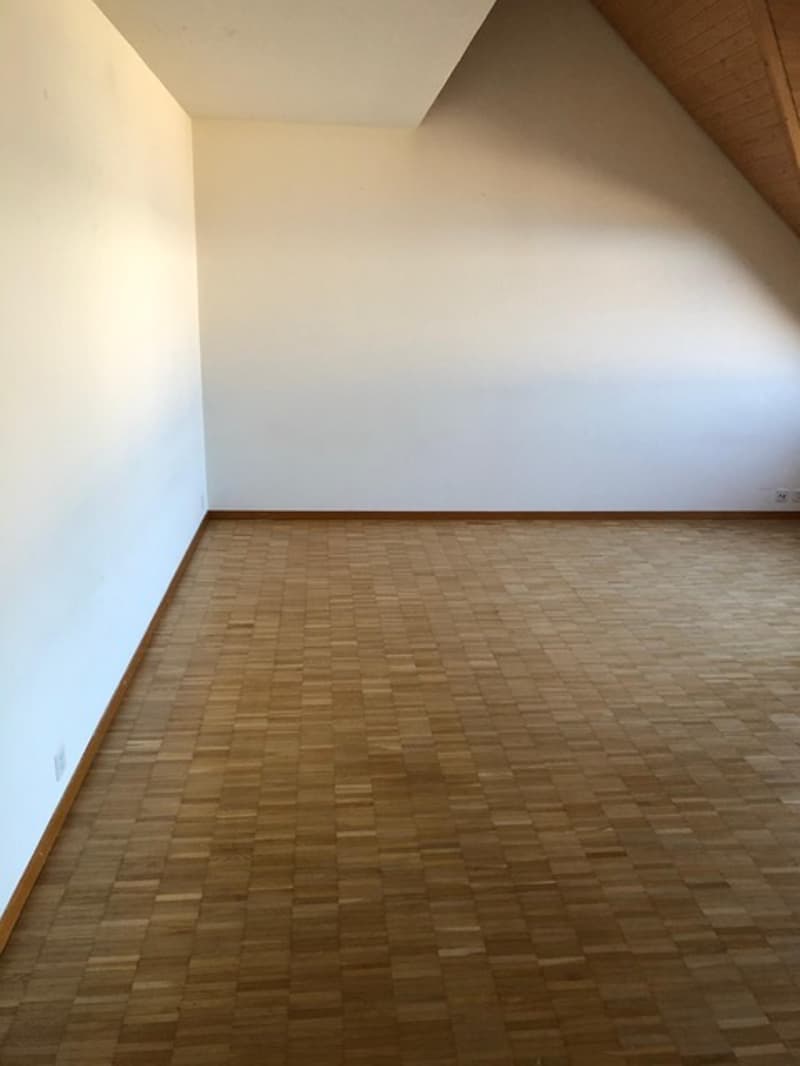 Weiträumige und gemütliche 1.5 Wohnung zu vermieten (9)