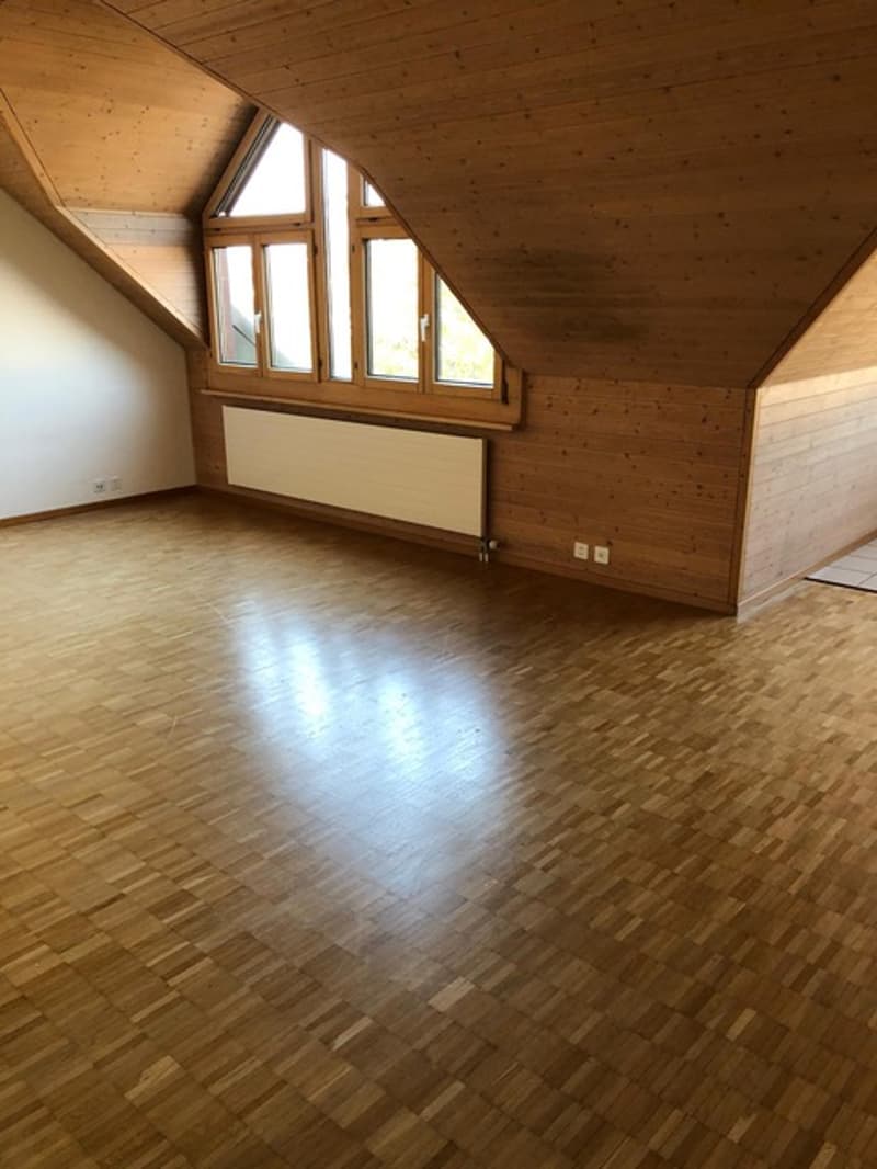 Weiträumige und gemütliche 1.5 Wohnung zu vermieten (8)