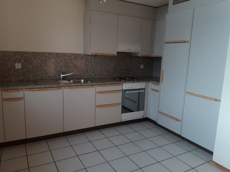 Weiträumige und gemütliche 1.5 Wohnung zu vermieten (2)