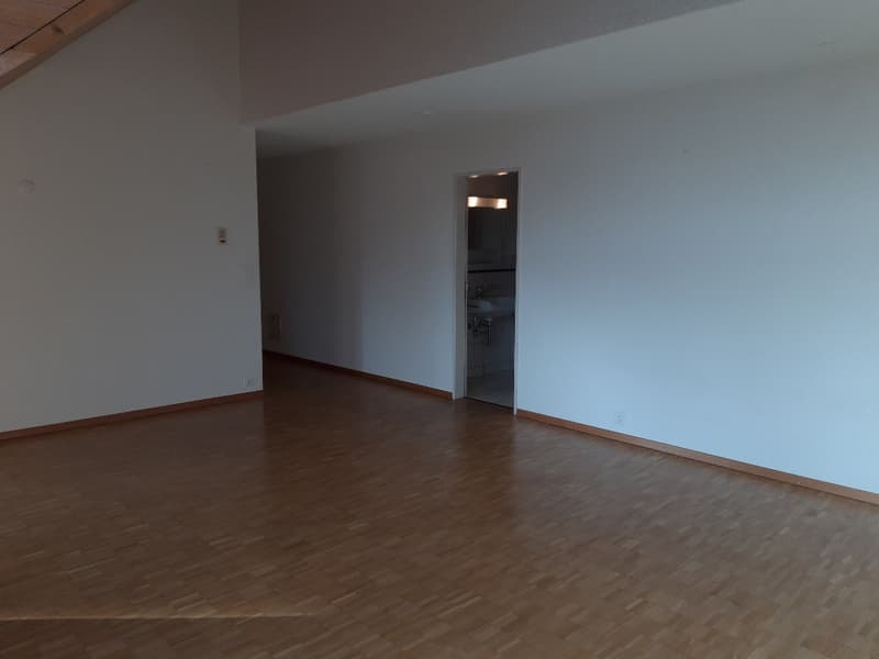 Weiträumige und gemütliche 1.5 Wohnung zu vermieten (7)