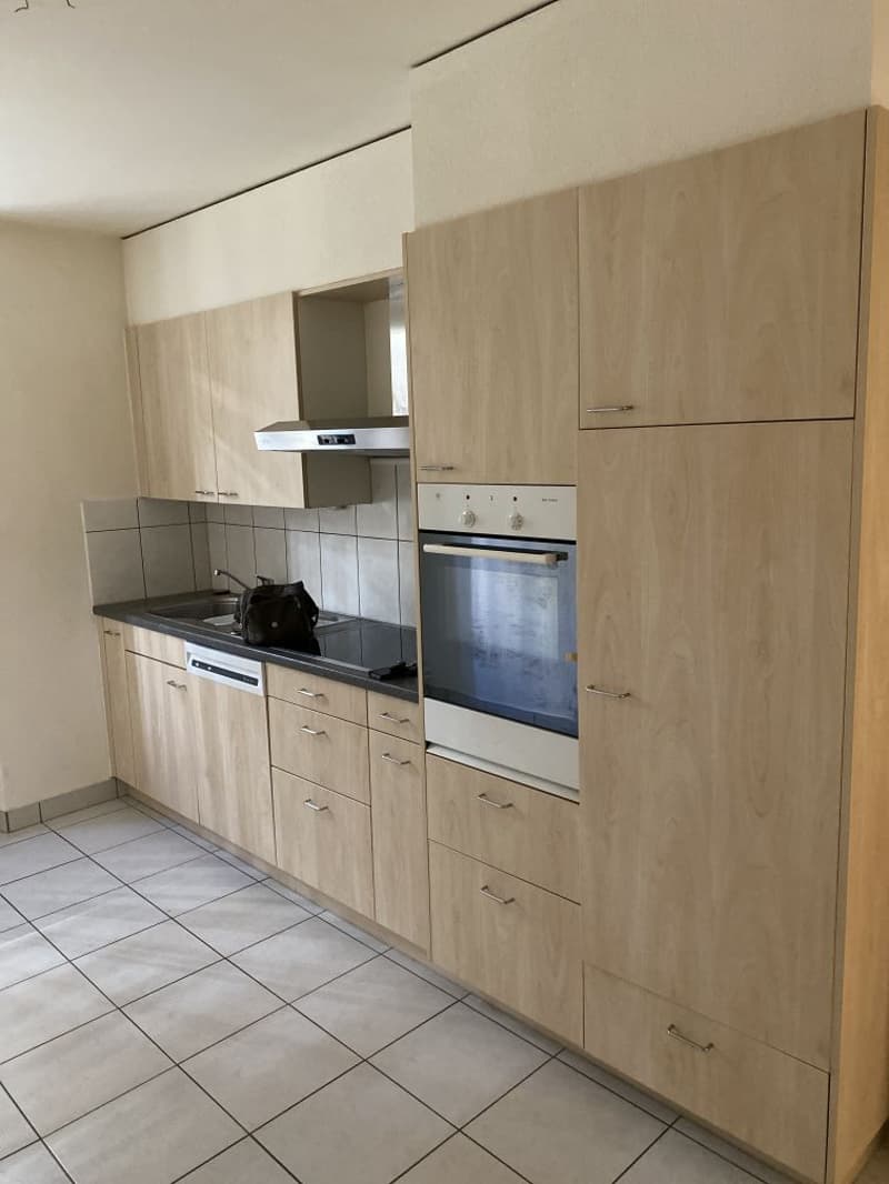 Magnifique appartement de 3,5 pièces à louer (1)