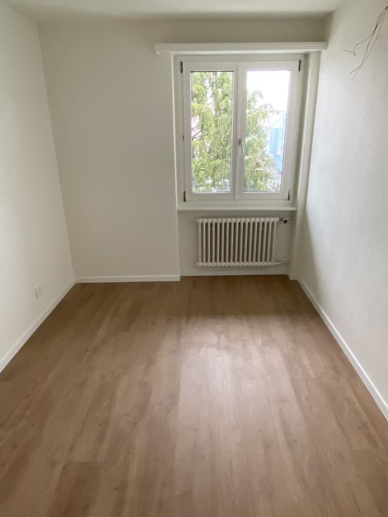 Gemütliche renovierte 2-Zimmerwohnung in Dietikon (4)