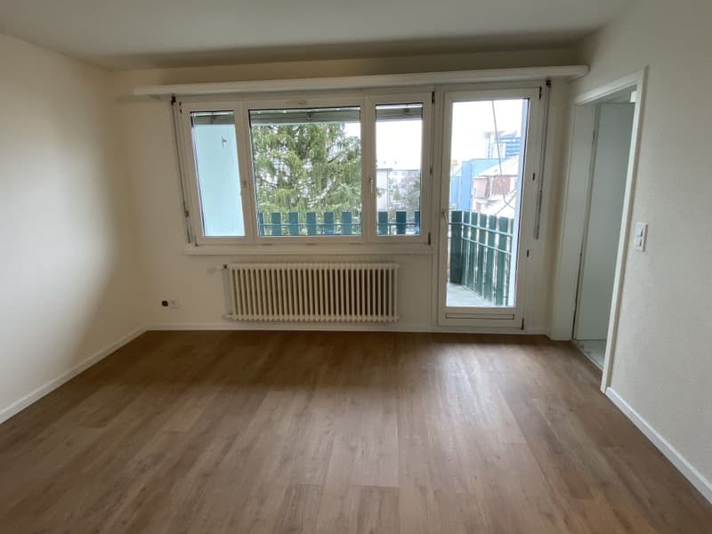 Gemütliche renovierte 2-Zimmerwohnung in Dietikon (6)
