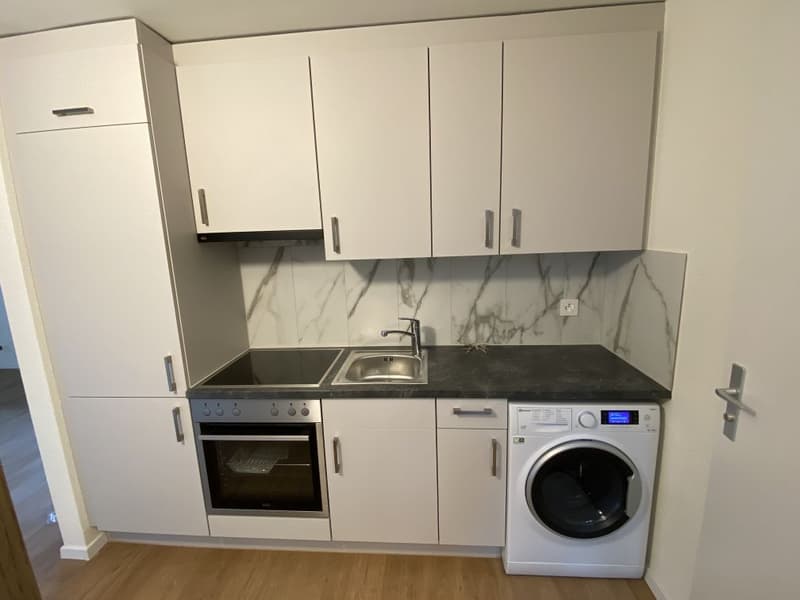 Gemütliche renovierte 2-Zimmerwohnung in Dietikon (2)