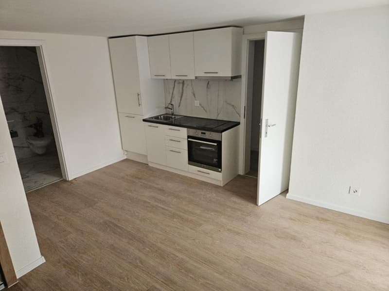 Gemütliches Studio in Fehraltdorf - renoviert und perfekt für Singles oder Paare! (3)