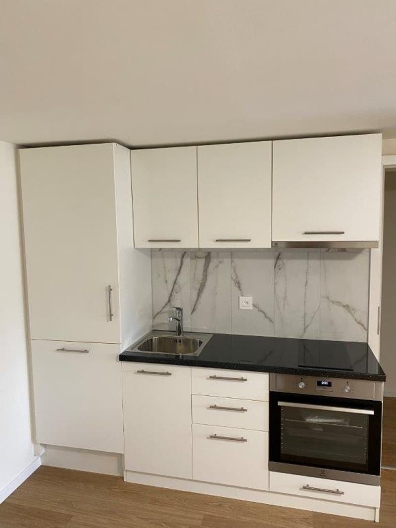 Gemütliches Studio in Fehraltdorf - renoviert und perfekt für Singles oder Paare! (2)
