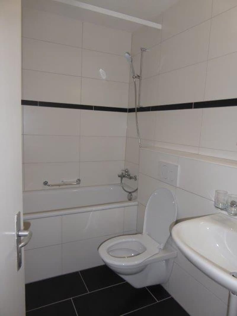 Wunderschöne renovierte 2-Zimmerwohnung mit grossem Balkon (3)